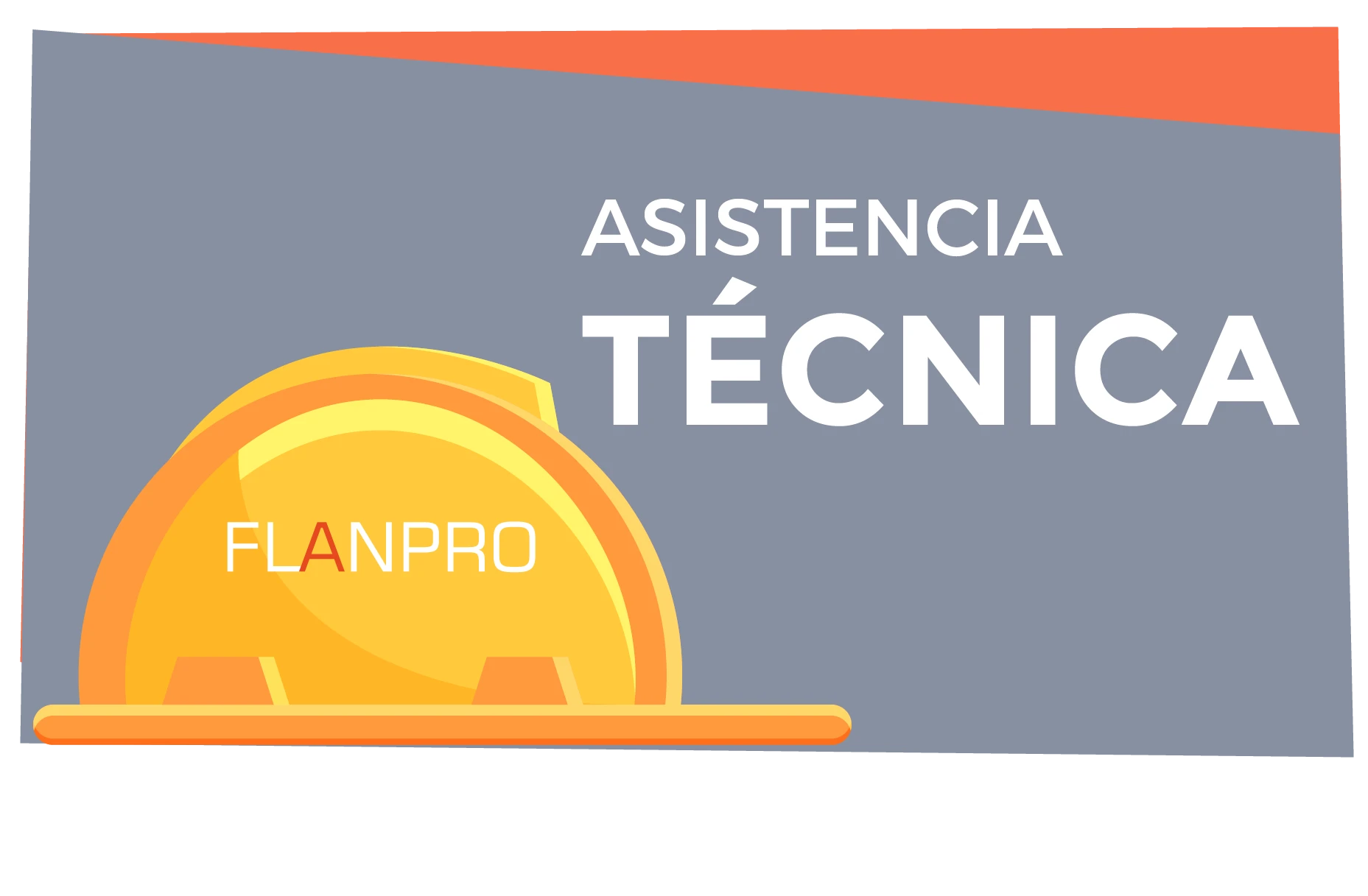 FLANPRO ASISTENCIA TECNICA