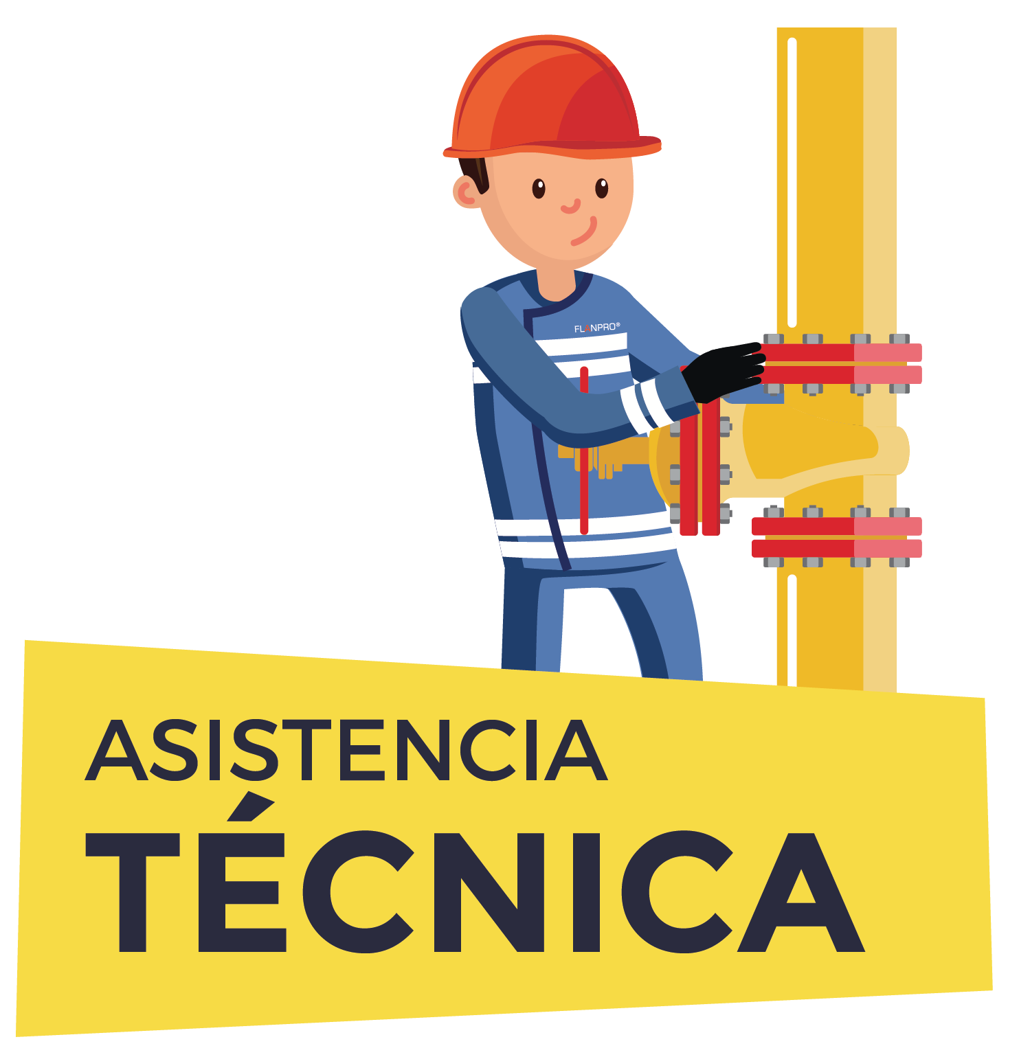 FLANPRO ASISTENCIA TÉCNICA