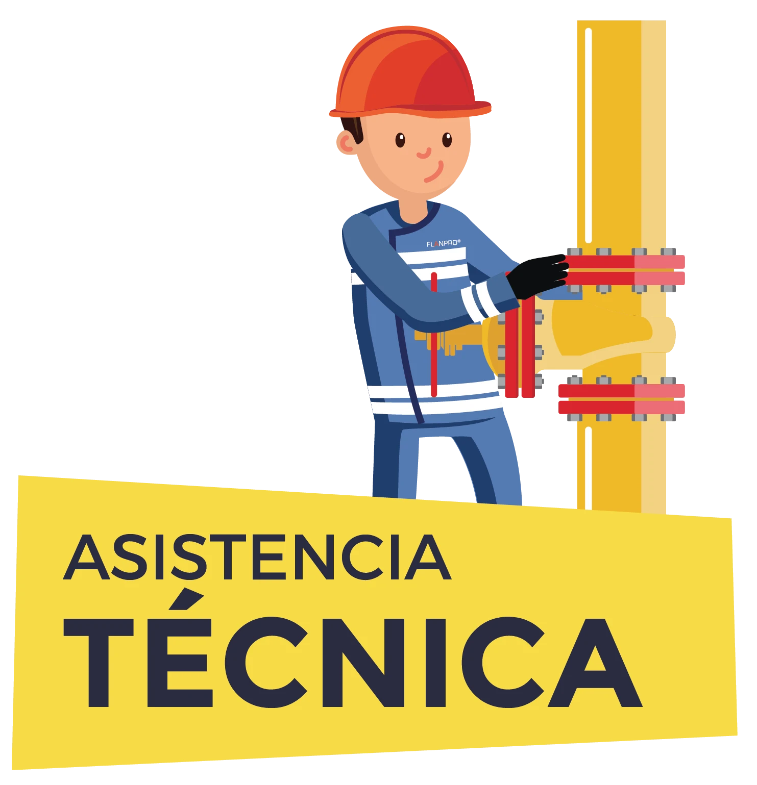 FLANPRO ASISTENCIA TÉCNICA