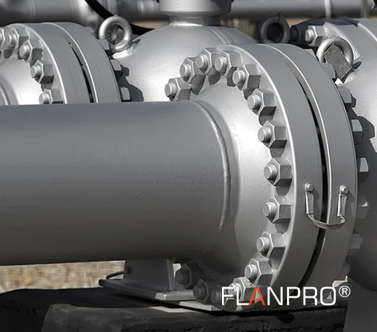 FLANPRO ASISTENCIA TECNICA