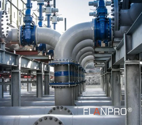 FLANPRO ASISTENCIA TECNICA