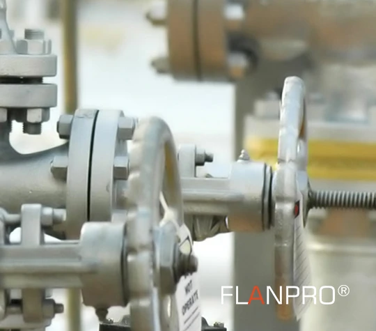 FLANPRO ASISTENCIA TECNICA